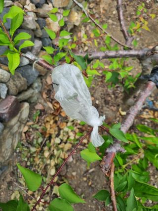 김용대님의 자유주제 · 자유게시판 작성글 사진