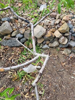 김용대님의 자유주제 · 자유게시판 작성글 사진