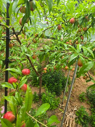 자연인님의 자유주제 · 자유게시판 작성글 사진