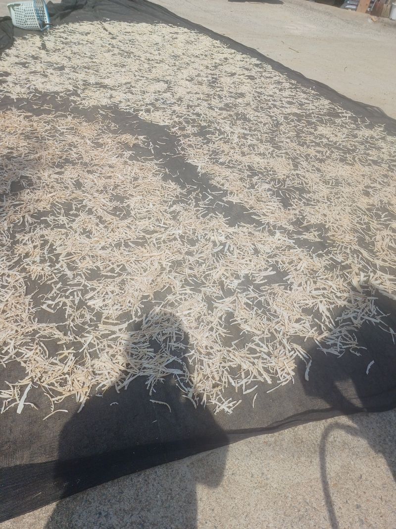 홍성복숭아줌님의 장터 판매 상품 [햇죽순  말린거 판매합니다] 첨부 사진