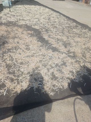 홍성복숭아줌님의 작성글 사진