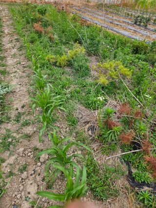 정재남님의 자유주제 · 자유게시판 작성글 사진