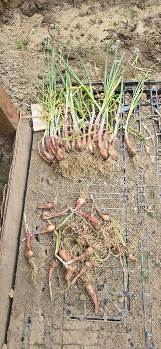 자유분방님의 자유주제 · 자유게시판 작성글 사진