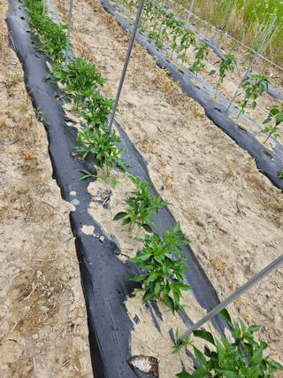 정재남님의 자유주제 · 자유게시판 작성글 사진