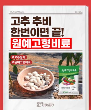 누보농장님의 자유주제 · 자유게시판 작성글 사진