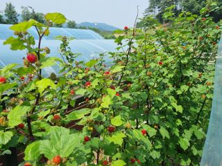 원인호님의 자유주제 · 자유게시판 작성글 사진