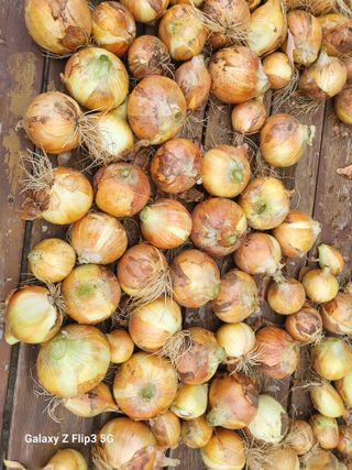 칠곡가산 최지훈님의 자유주제 · 자유게시판 작성글 사진