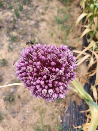 유영옥님의 자유주제 · 자유게시판 작성글 사진