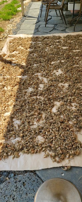 샘골농장 마음만청춘님의 자유주제 · 자유게시판 작성글 사진