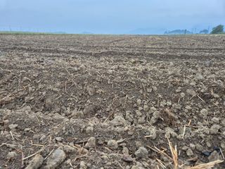 김영진(전남영광)님의 자유주제 · 자유게시판 작성글 사진