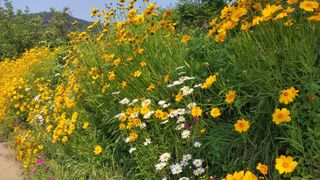 김윤기님의 자유주제 · 자유게시판 작성글 사진