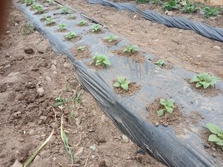 알 수 없음님의 자유주제 · 자유게시판 작성글 사진