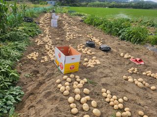 오영관님의 자유주제 · 자유게시판 작성글 사진