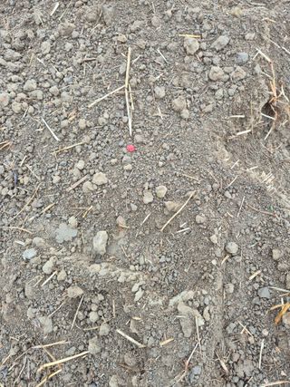 김영진(전남영광)님의 자유주제 · 자유게시판 작성글 사진