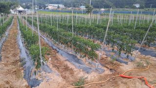 이정민님의 자유주제 · 자유게시판 작성글 사진