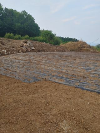 강경옥님의 자유주제 · 자유게시판 작성글 사진