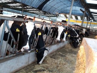 이정민님의 자유주제 · 자유게시판 작성글 사진