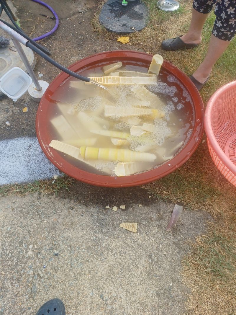 홍성복숭아줌님의 장터 판매 상품 [햇죽순  말린거 판매합니다] 첨부 사진