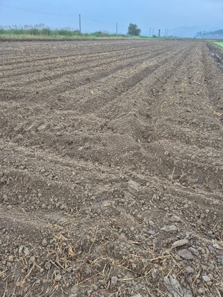 김영진(전남영광)님의 자유주제 · 자유게시판 작성글 사진