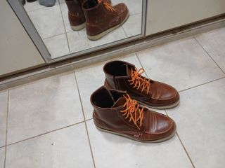 알 수 없음님의 자유주제 · 자유게시판 작성글 사진