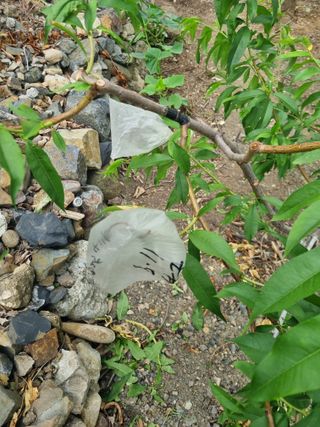 김용대님의 자유주제 · 자유게시판 작성글 사진