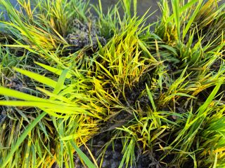 서해숙님의 자유주제 · 자유게시판 작성글 사진