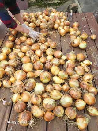 칠곡가산 최지훈님의 자유주제 · 자유게시판 작성글 사진