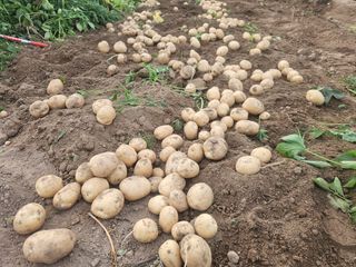 오영관님의 자유주제 · 자유게시판 작성글 사진