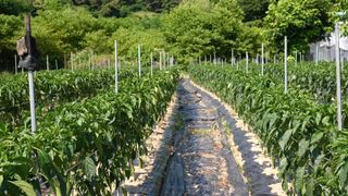 누보농장님의 자유주제 · 자유게시판 작성글 사진