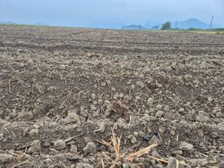 김영진(전남영광)님의 자유주제 · 자유게시판 작성글 사진