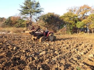 이정민님의 자유주제 · 자유게시판 작성글 사진