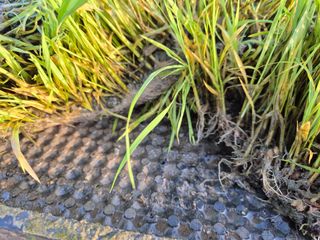 서해숙님의 자유주제 · 자유게시판 작성글 사진