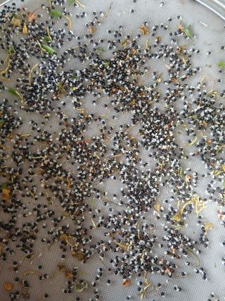 인생은 소풍처럼님의 자유주제 · 자유게시판 작성글 사진