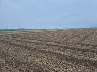 김영진(전남영광)님의 자유주제 · 자유게시판 작성글 사진
