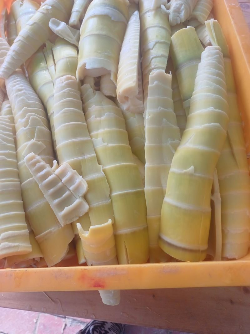 장터 상품 [햇죽순  말린거 판매합니다] 썸네일