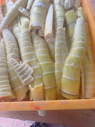 홍성복숭아줌님의 작성글 사진