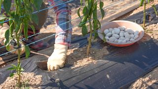 누보농장님의 자유주제 · 자유게시판 작성글 사진