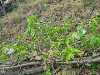 김용대님의 자유주제 · 자유게시판 작성글 사진
