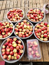 팜모닝 자유주제·자유게시판 게시글 이미지