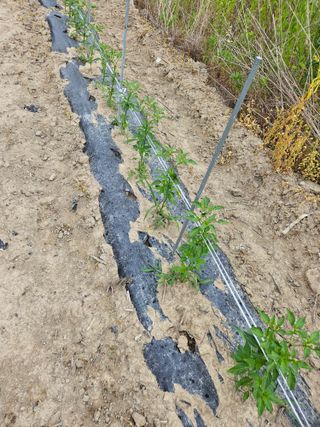 정재남님의 자유주제 · 자유게시판 작성글 사진