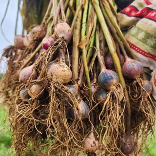 조한솔님의 작성글 사진