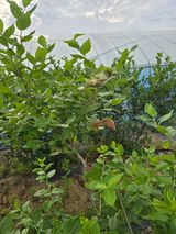 팜모닝 자유주제·자유게시판 게시글 이미지