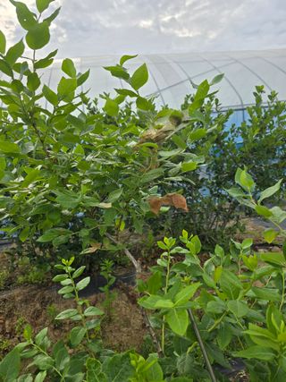 비타민님의 자유주제 · 자유게시판 작성글 사진