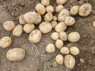 오영관님의 자유주제 · 자유게시판 작성글 사진