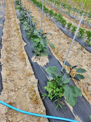 정재남님의 자유주제 · 자유게시판 작성글 사진