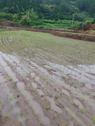 강경옥님의 자유주제 · 자유게시판 작성글 사진