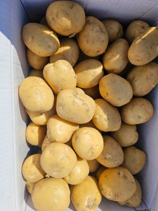 오영관님의 자유주제 · 자유게시판 작성글 사진