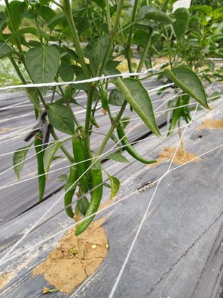 유영옥님의 자유주제 · 자유게시판 작성글 사진