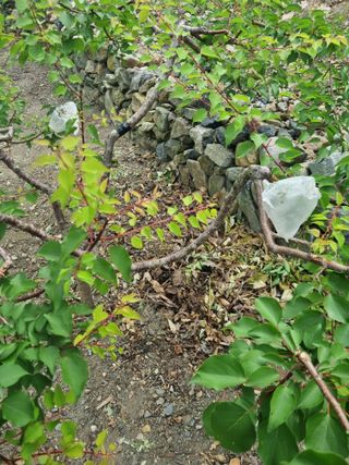 김용대님의 자유주제 · 자유게시판 작성글 사진