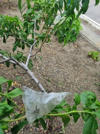 김용대님의 자유주제 · 자유게시판 작성글 사진